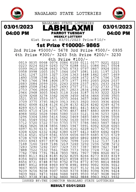 nagaland-lottery-result-03-01-2023-labhlaxmi-parrot-tuesday-today-4-pm-keralalottery.info_page-0001