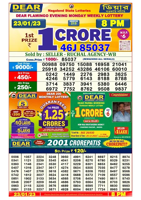 nagaland-lottery-result-23-01-2023-dear-flamingo-evening-monday-today-8-pm