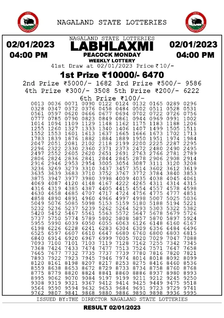nagaland-lottery-result-02-01-2023-labhlaxmi-peacock-monday-today-4-pm-keralalottery.info