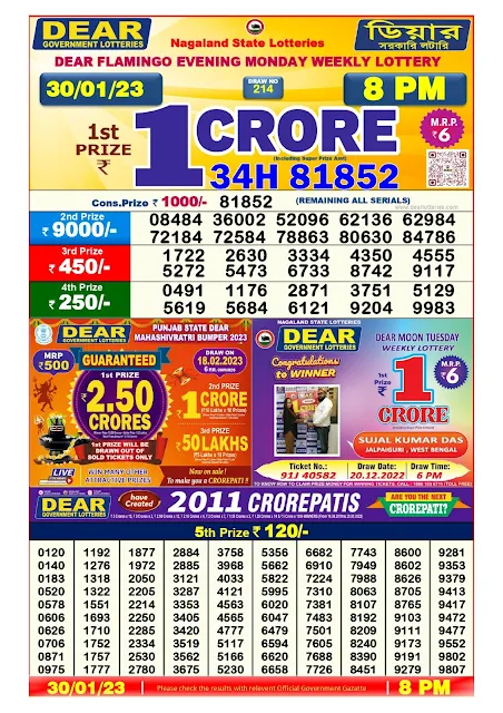 nagaland-lottery-result-30-01-2023-dear-flamingo-evening-monday-today-8-pm